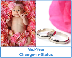 Mid-Year Change-in-Status